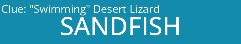 "Swimming" Desert Lizard