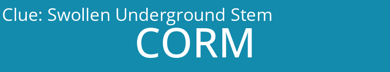 Swollen Underground Stem