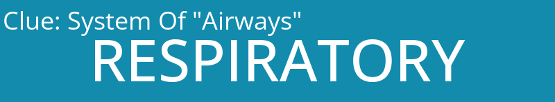 System Of "Airways"