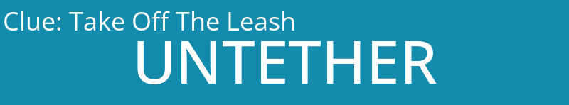 Take Off The Leash