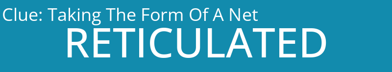 Taking The Form Of A Net