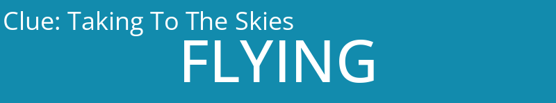 Taking To The Skies