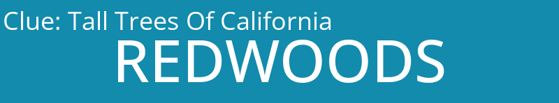 Tall Trees Of California