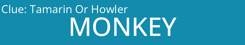 Tamarin Or Howler