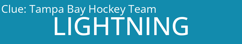 Tampa Bay Hockey Team