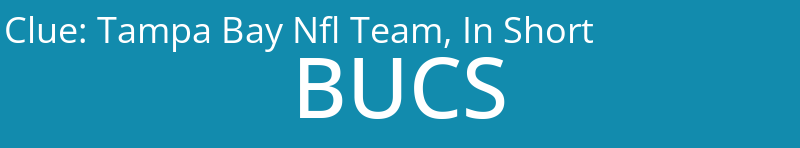 Tampa Bay Nfl Team, In Short