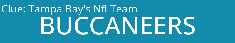 Tampa Bay's Nfl Team