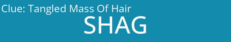 Tangled Mass Of Hair