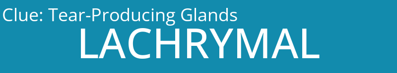 Tear-Producing Glands