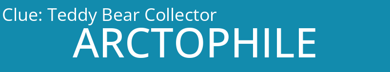 Teddy Bear Collector