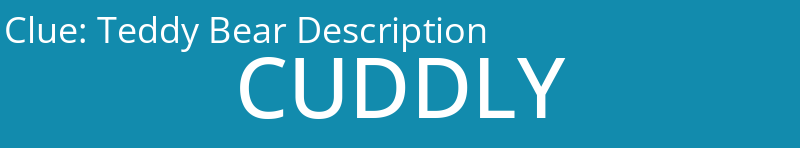 Teddy Bear Description