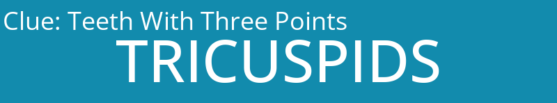 Teeth With Three Points