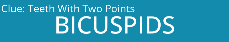 Teeth With Two Points