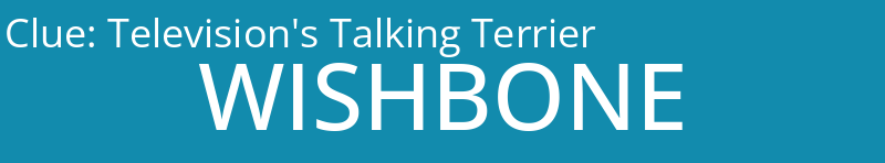 Television's Talking Terrier