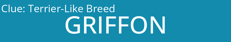 Terrier-Like Breed