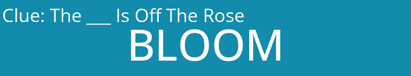 The ___ Is Off The Rose