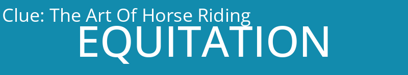 The Art Of Horse Riding