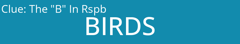 The "B" In Rspb