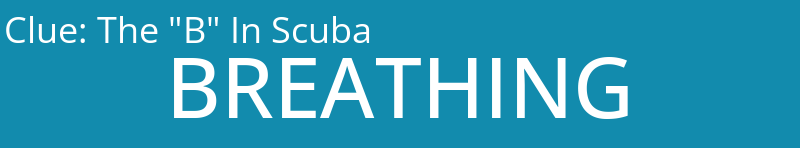The "B" In Scuba