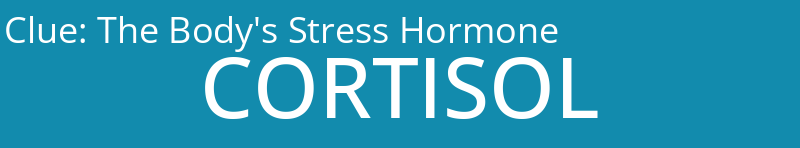 The Body's Stress Hormone