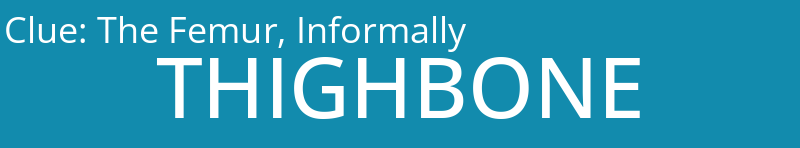 The Femur, Informally