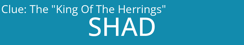 The "King Of The Herrings"