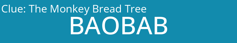 The Monkey Bread Tree