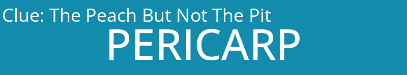 The Peach But Not The Pit