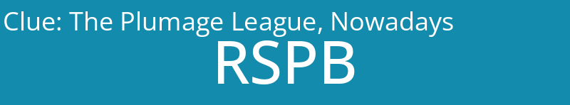 The Plumage League, Nowadays