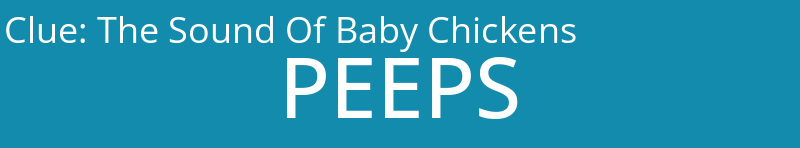 The Sound Of Baby Chickens