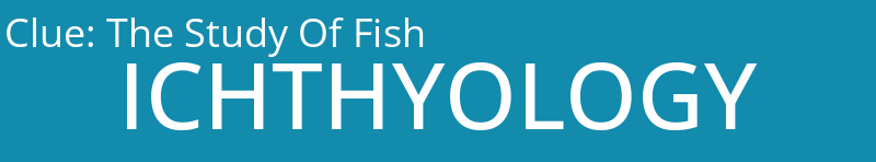 The Study Of Fish