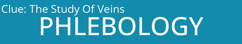 The Study Of Veins