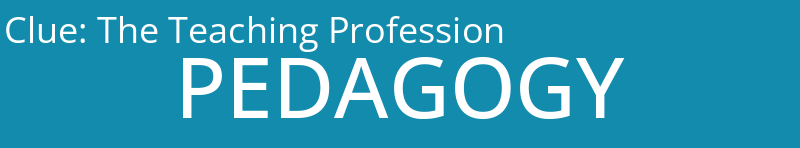 The Teaching Profession