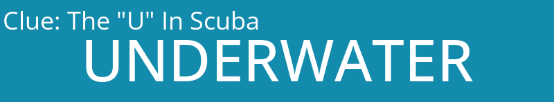 The "U" In Scuba