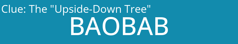 The "Upside-Down Tree"