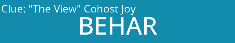 "The View" Cohost Joy