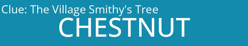 The Village Smithy's Tree