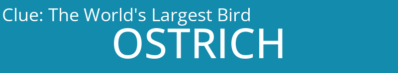 The World's Largest Bird