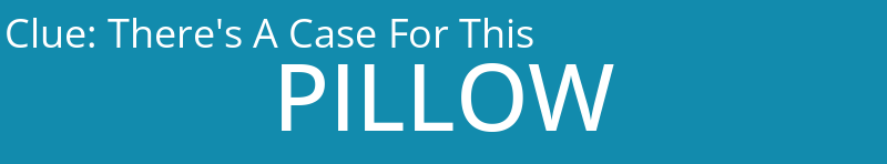 There's A Case For This