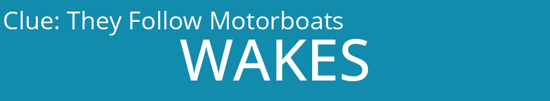 They Follow Motorboats