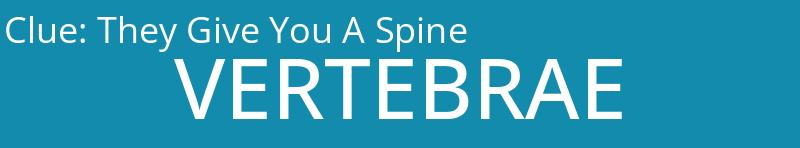 They Give You A Spine