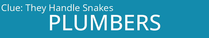 They Handle Snakes