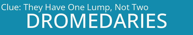 They Have One Lump, Not Two