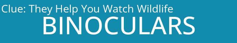 They Help You Watch Wildlife