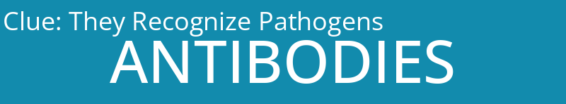 They Recognize Pathogens