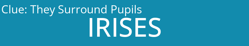 They Surround Pupils