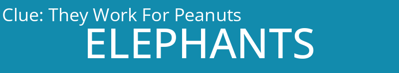 They Work For Peanuts