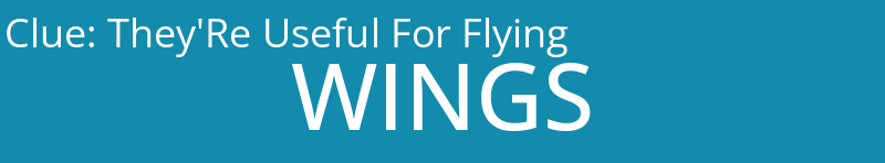 They'Re Useful For Flying