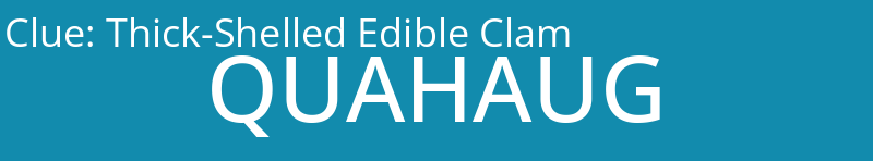 Thick-Shelled Edible Clam