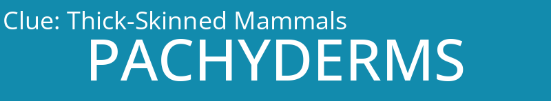 Thick-Skinned Mammals